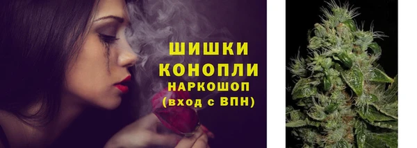ГАЛЛЮЦИНОГЕННЫЕ ГРИБЫ Верея