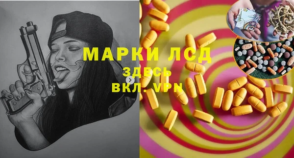 ГАЛЛЮЦИНОГЕННЫЕ ГРИБЫ Верея