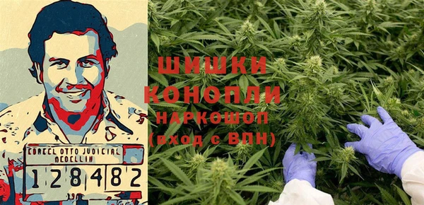 ГАЛЛЮЦИНОГЕННЫЕ ГРИБЫ Верея