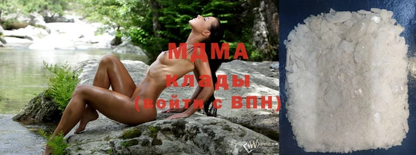 ГАЛЛЮЦИНОГЕННЫЕ ГРИБЫ Верея