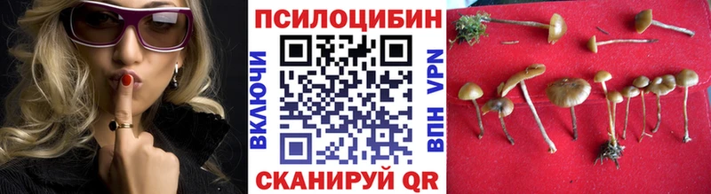 даркнет сайт  Янаул  Галлюциногенные грибы Magic Shrooms 